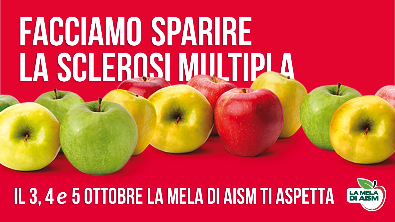 Immagine anteprima